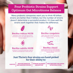 Digestive and immune health benefits illustration