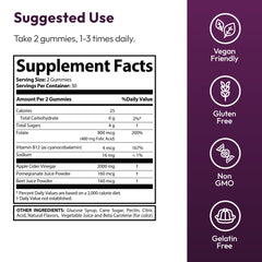 Justified Laboratories Proton Keto ACV vegan gummies in a bag