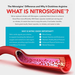 Packaging of the 3-pack BloodFlow-7 bottles