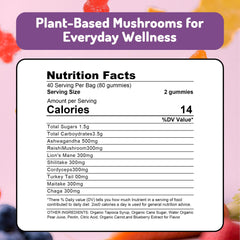Close-up view of mushroom gummies for focus and energy