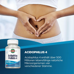 Four-strain probiotic formula with L. acidophilus, L. bulgaricus, S. thermophilus, and B. bifidum