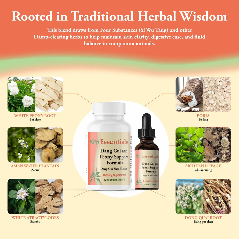 Traditional Chinese herbalism-inspired Kan Essentials branding image