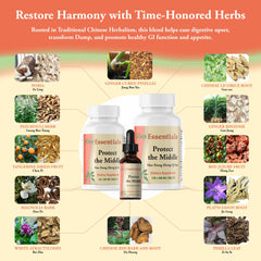 Pet owner administering Kan Herb Protect The Middle to a dog or cat