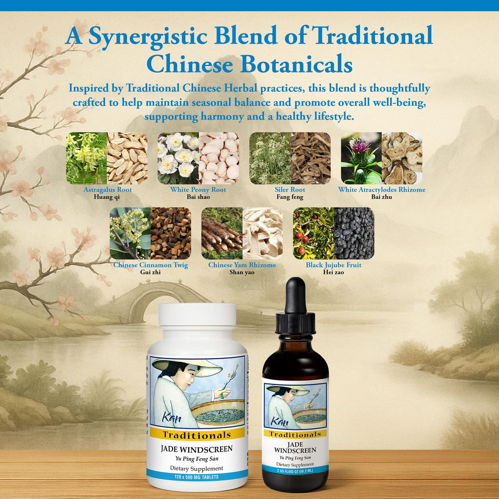 Illustration featuring traditional herbs: Astragalus, White Atractylodes, Siler root