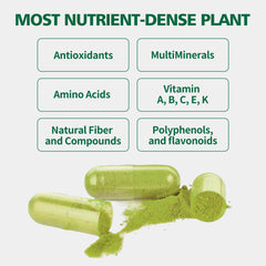 Non-GMO and Gluten-Free badge on packaging