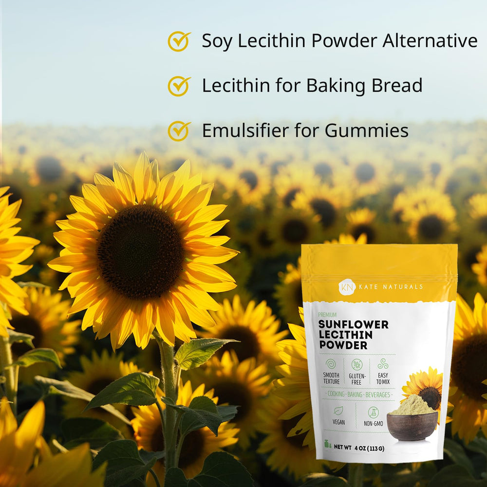 Sunflower lecithin powder used for baking