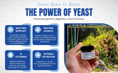 Healthy molts in aquatic snails and shrimp