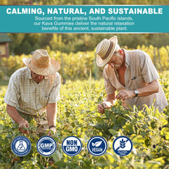 Gummy texture close-up