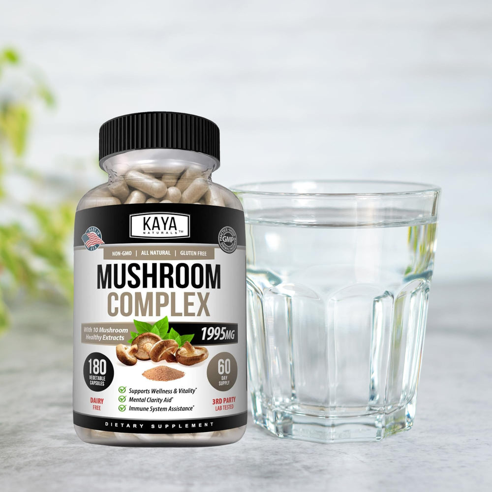 Illustration representing immune support and brain health from mushrooms