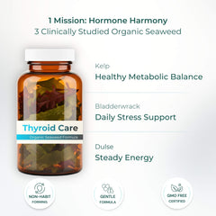 Close-up of kelp, bladderwrack and dulse seaweed