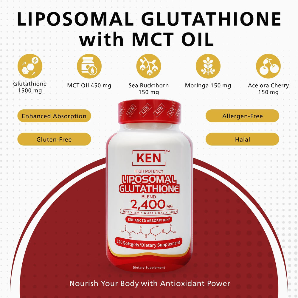 Diagram showing enhanced absorption from liposomal delivery