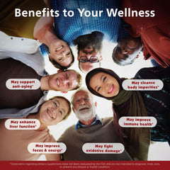 Liver and gut support concept representing cleansing and energy