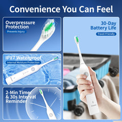 Eight replacement brush heads included