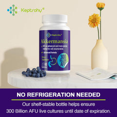 Delayed-release Akkermansia probiotic capsule design