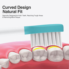 Kid-sized brush head designed for ages 6-12