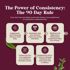 Daily-use kidney health capsules and usage guidance