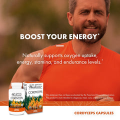 Kidney health symbol and wellness theme