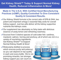 Kidney health support imagery