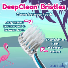 Two DeepClean replacement heads included