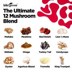 Ingredients: 12 mushrooms with 10:1 fruiting body extract