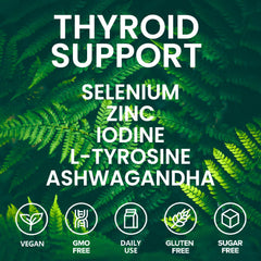 4 fl oz packaging of Kindled Thyroid Support Drops
