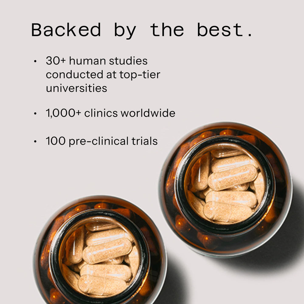 Kinoko Platinum daily-use reminder promotes consistent immune-support routine.