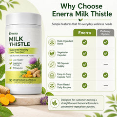 kivo Enerra ingredient layout showing milk thistle and turmeric for botanical clarity