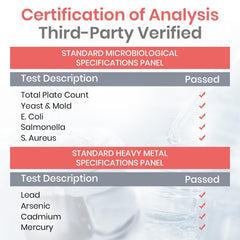 Overall liver health and digestive support concept