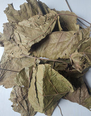 Various angles of dried Djeka leaves