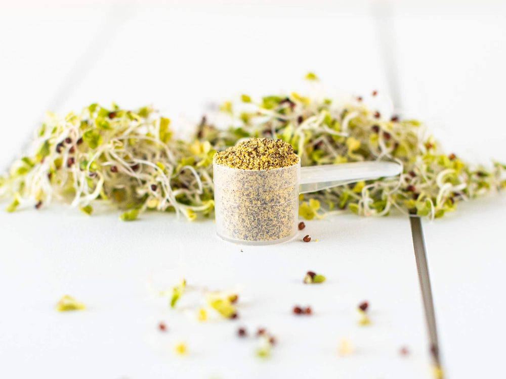 3rd-party testing for glucoraphanin content in KOYAH broccoli sprout powder