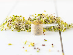 3rd-party testing for glucoraphanin content in KOYAH broccoli sprout powder