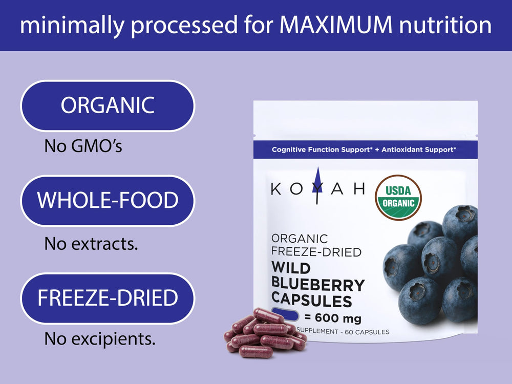 Lowbush blueberries Vaccinium angustifolium berries