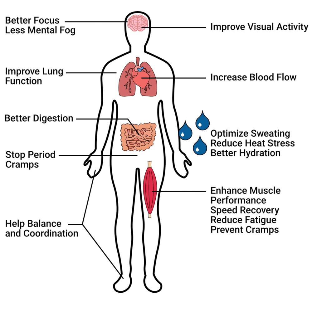 Krampade Electrolytes Powder ingredients panel