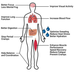 Krampade Electrolytes Powder ingredients panel