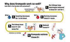 Back panel of Krampade 19-serving pouch showing nutrition information