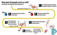 Lifestyle workout scene featuring Krampade Electrolytes Powder