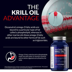 Wild caught Antarctic krill illustration