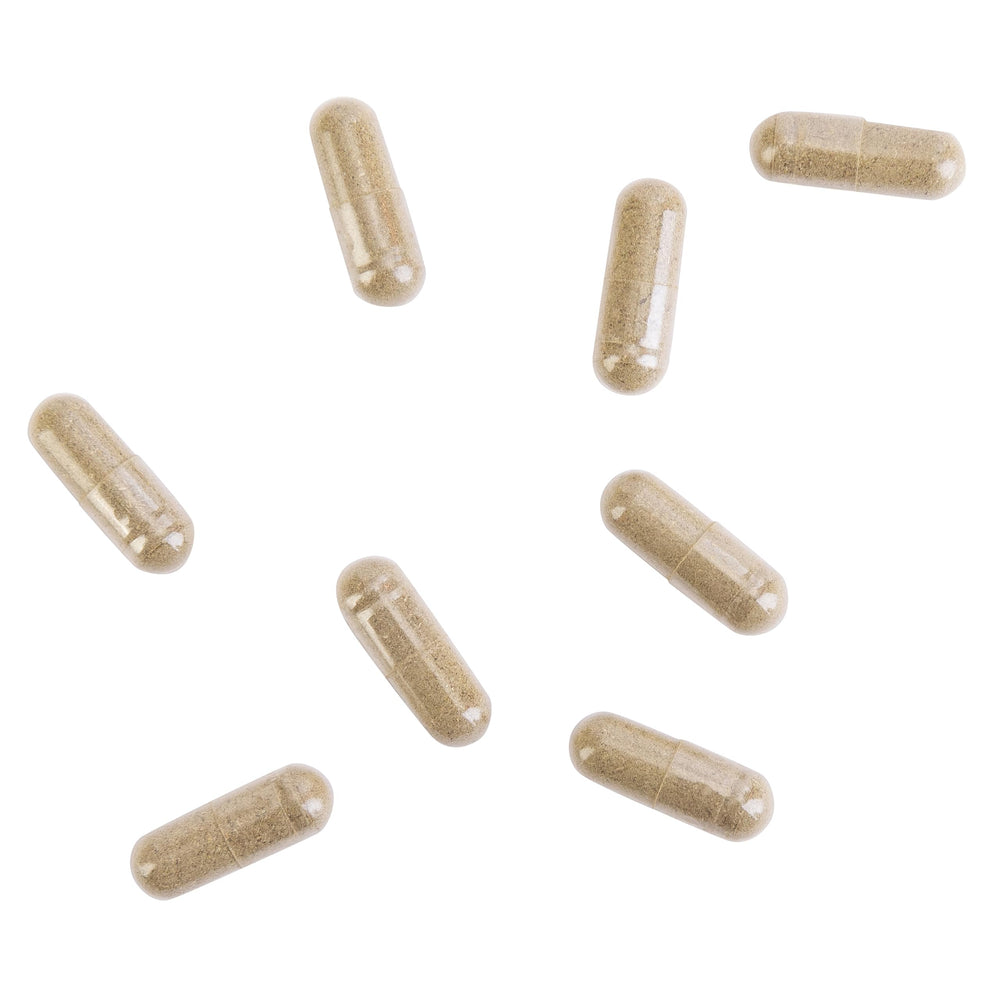 Vegetarian capsules displayed for Kroeger Candida Formula #2