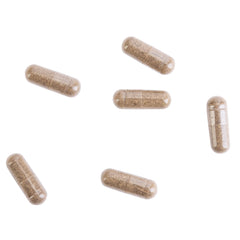 USA-made Kroeger Herbal supplement bottle on table