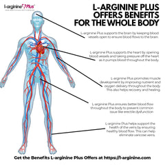 Supports healthy blood pressure and blood flow