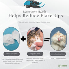 Close-up of powder showing texture for respiratory health support