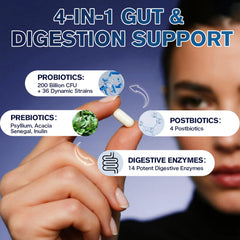 Clinically studied strains L. reuteri and L. fermentum.