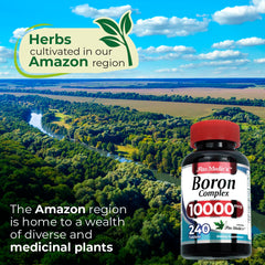 Serving size and 240 servings per bottle