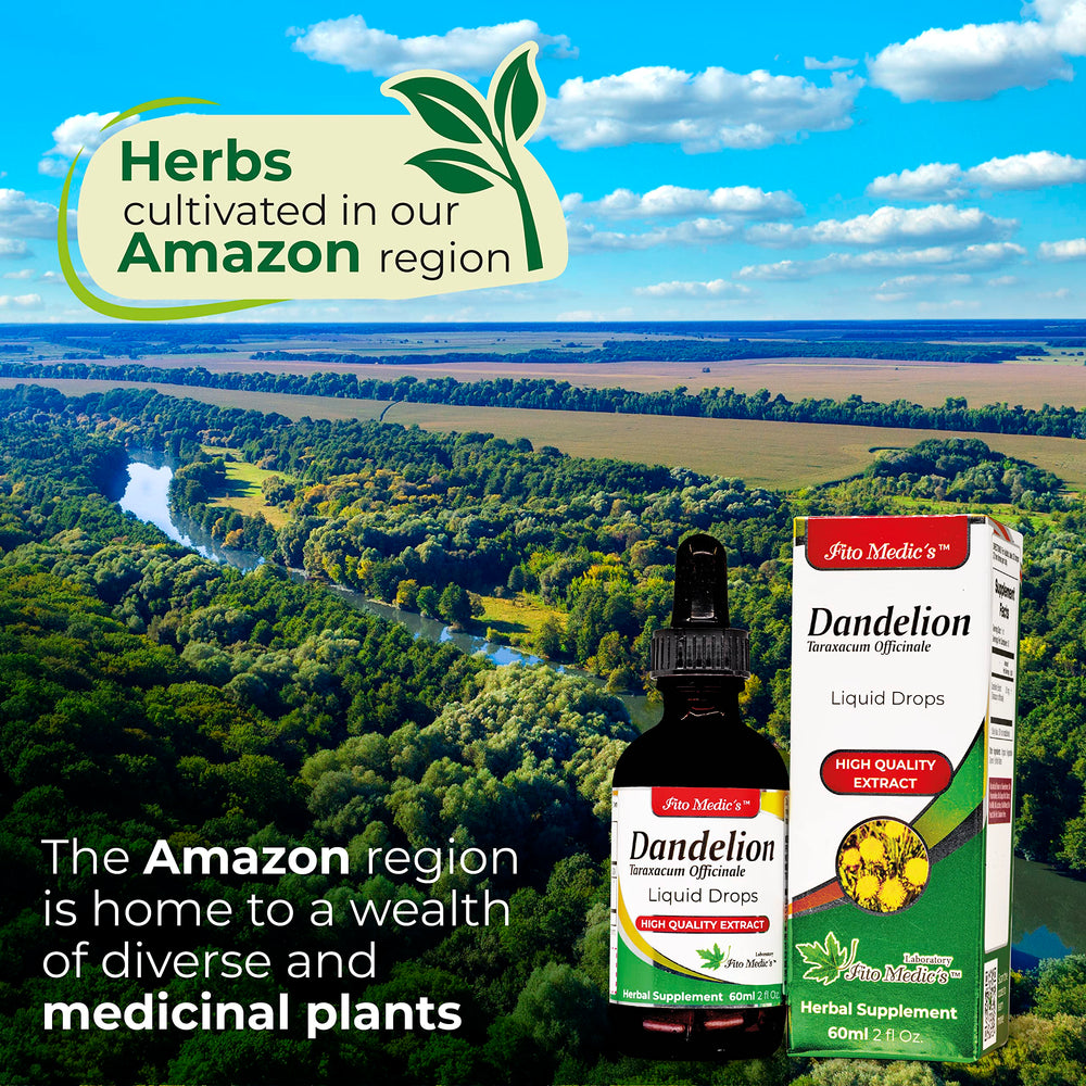 Alcohol-free high-absorption dandelion tincture bottle