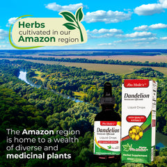 Alcohol-free high-absorption dandelion tincture bottle