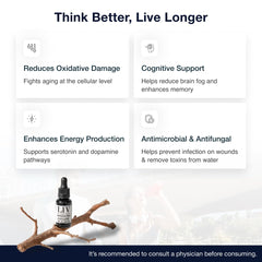 Lab-tested purity certificate for methylene blue.