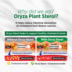 90 vegetarian capsules per bottle