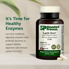 Illustration of digestive enzymes in Lact-ENZ