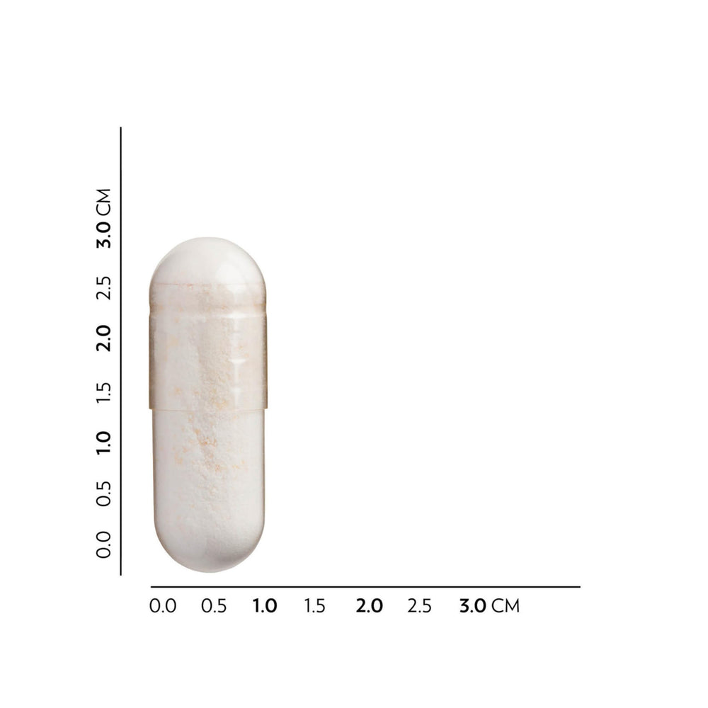 Capsule showing probiotic bacteria for digestion