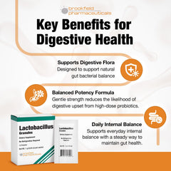 Daily gut health support for men and women using Lactobacillus probiotics